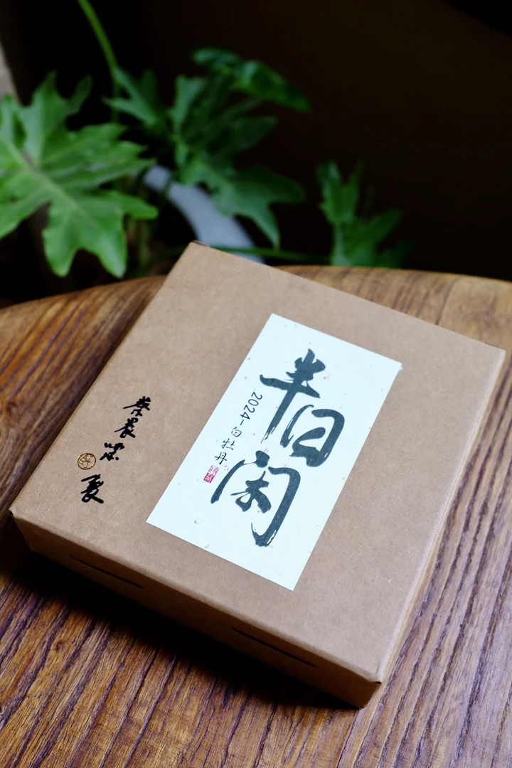蔡晨啸  2024 白牡丹  半日闲