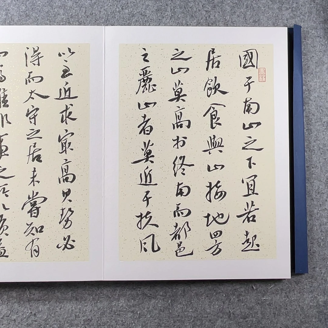书法中书协会员作品