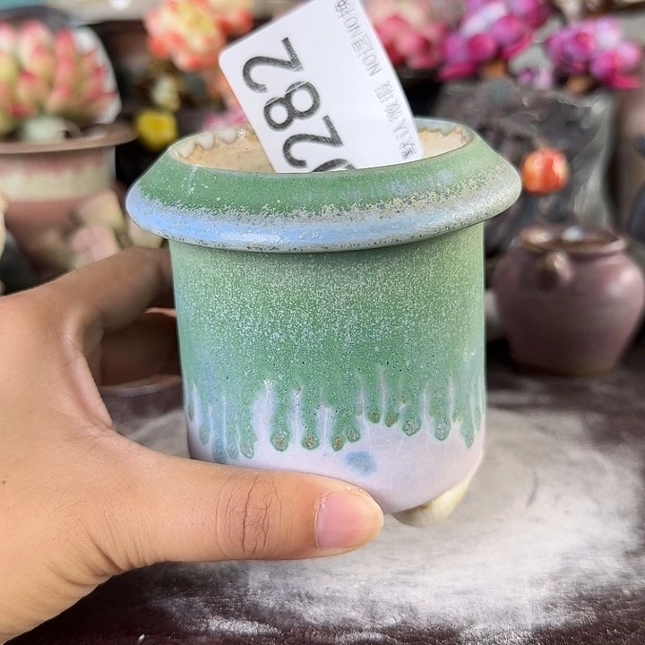 重庆小燕子欢迎大家282