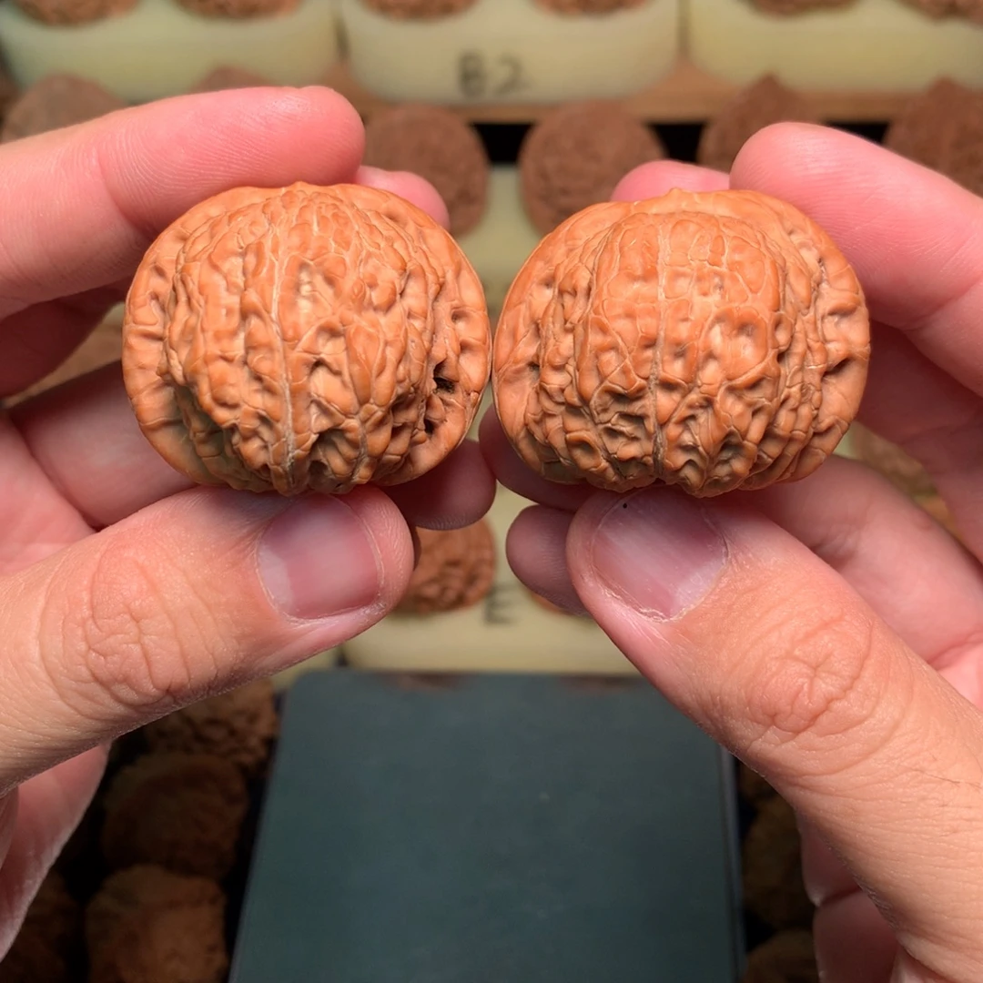 把件文玩核桃39血麒麟全品