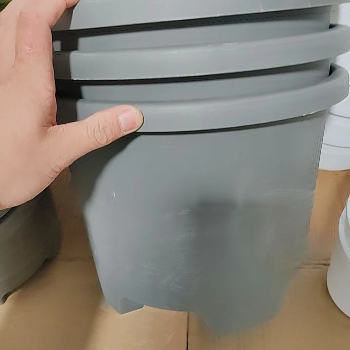 口径 32 串色球根 3 个