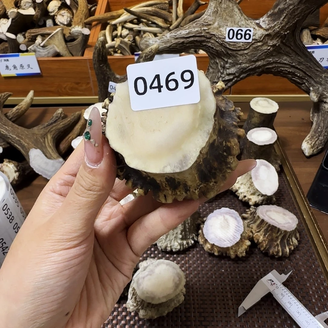 手串/手链鹿骨0469角帽