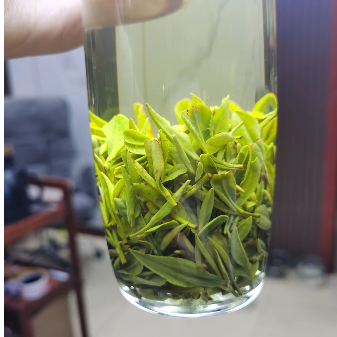 2025新茶岳西翠兰高山茶浓香耐泡T9