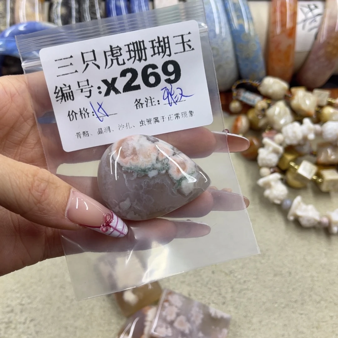 哆***苏硅化珊瑚（珊瑚玉）未镶嵌h