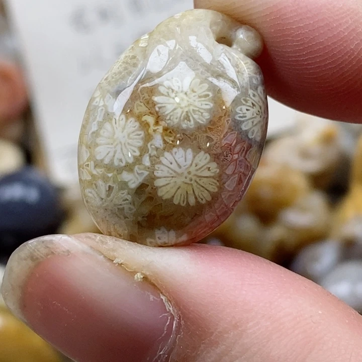 颈饰未镶嵌硅化珊瑚（珊瑚玉）