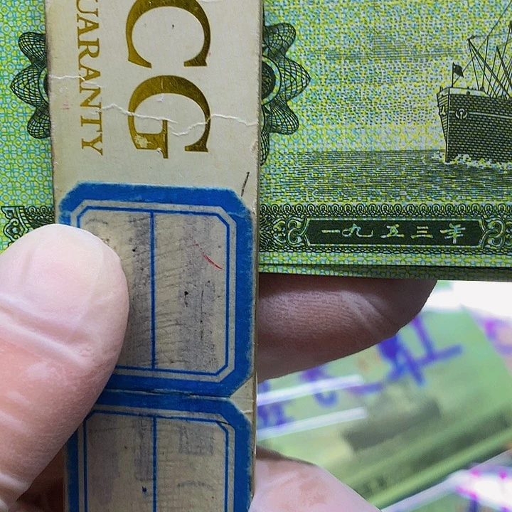 五分龙头九单张拍吧