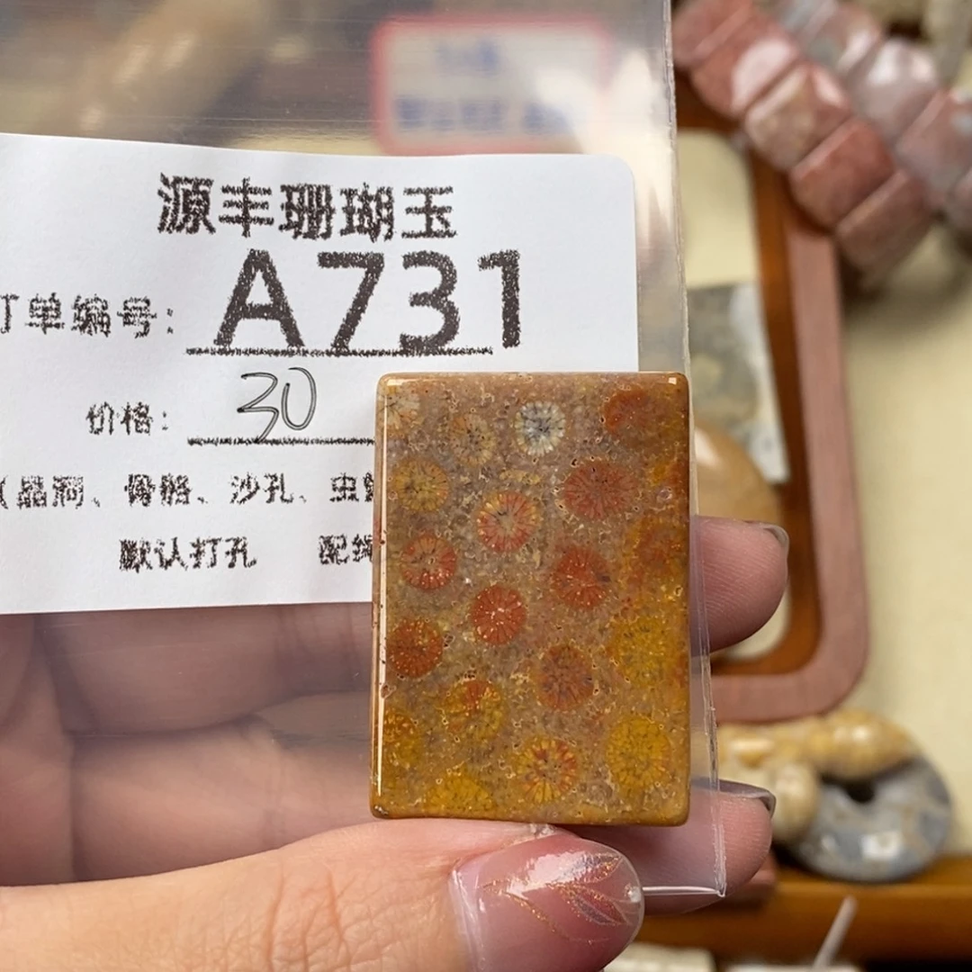 森***火硅化玉未镶嵌颈饰
