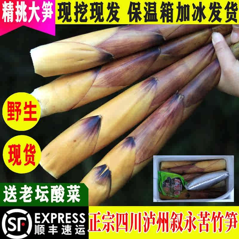 顺丰包邮现挖现发正宗四川泸州苦竹笋新鲜叙永甜苦笋乐山宜宾笋子