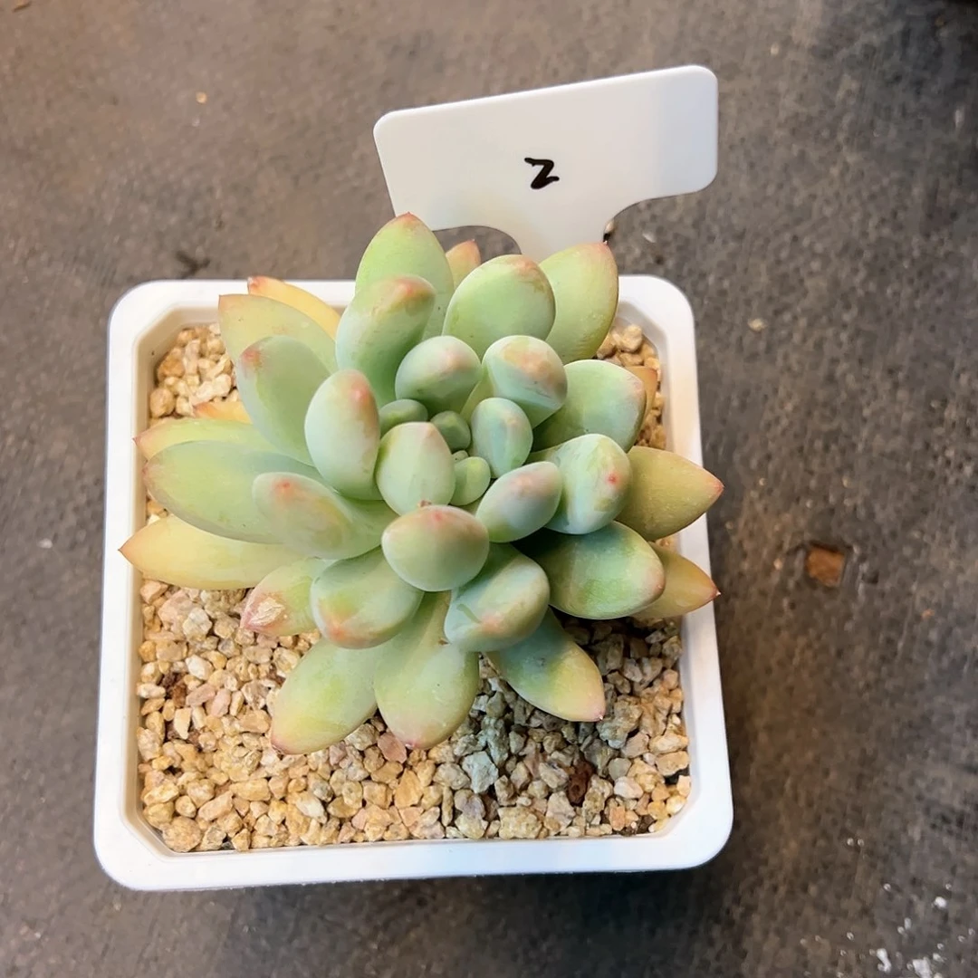 @***衿2:；g h j n b n n n