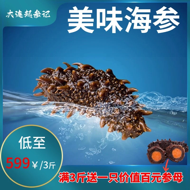 即食正宗辽参 1斤（5-8只）/3斤（15-24只）北 纬39°即食海参大连辽参