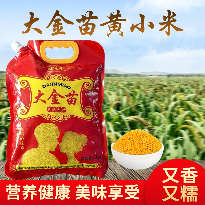 好喝大金苗内蒙粘糯黄小米天悦丰