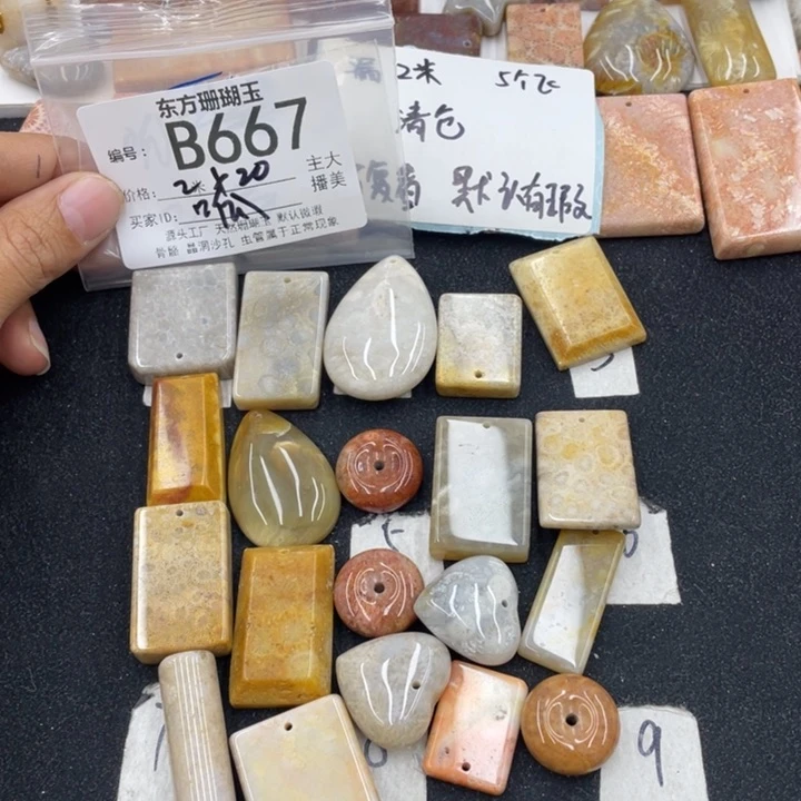 硅化珊瑚（珊瑚玉）颈饰合金呱**唧