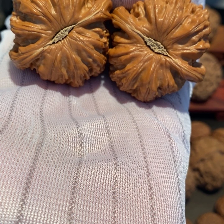 桃核吊坠43尺寸大白