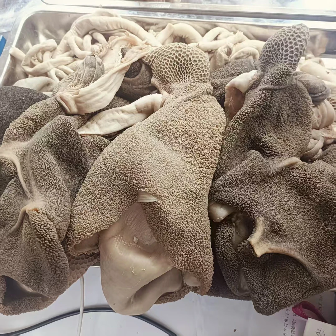 十分熟五香味原色羊肚可凉拌爆炒火锅食材