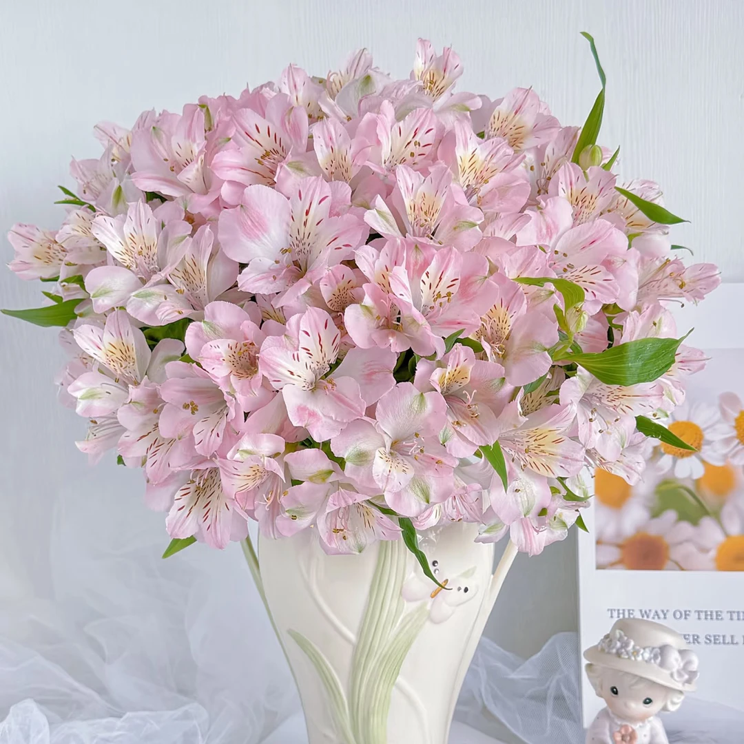 浅粉水仙百合 玫瑰鲜花 全场买两单及以上包邮 云南基地直发