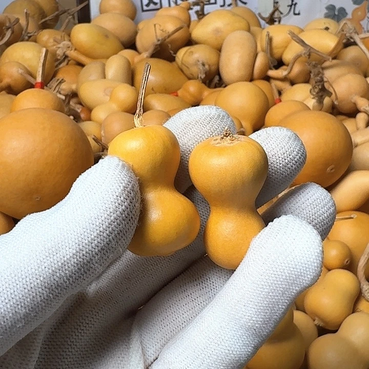 木质非金属2456789