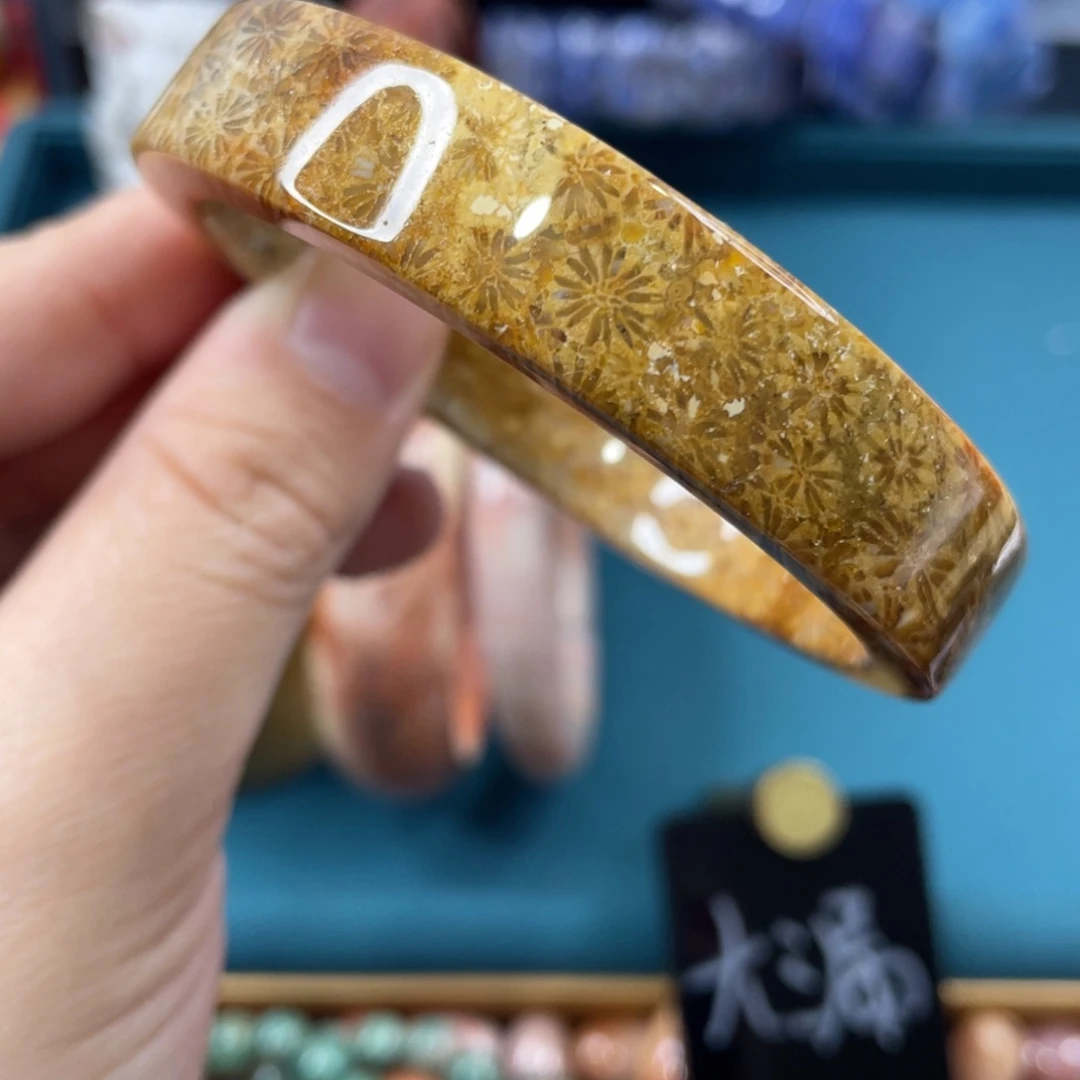 未镶嵌手镯硅化玉