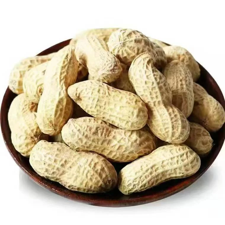24年新货原味炒熟花生大颗粒花生