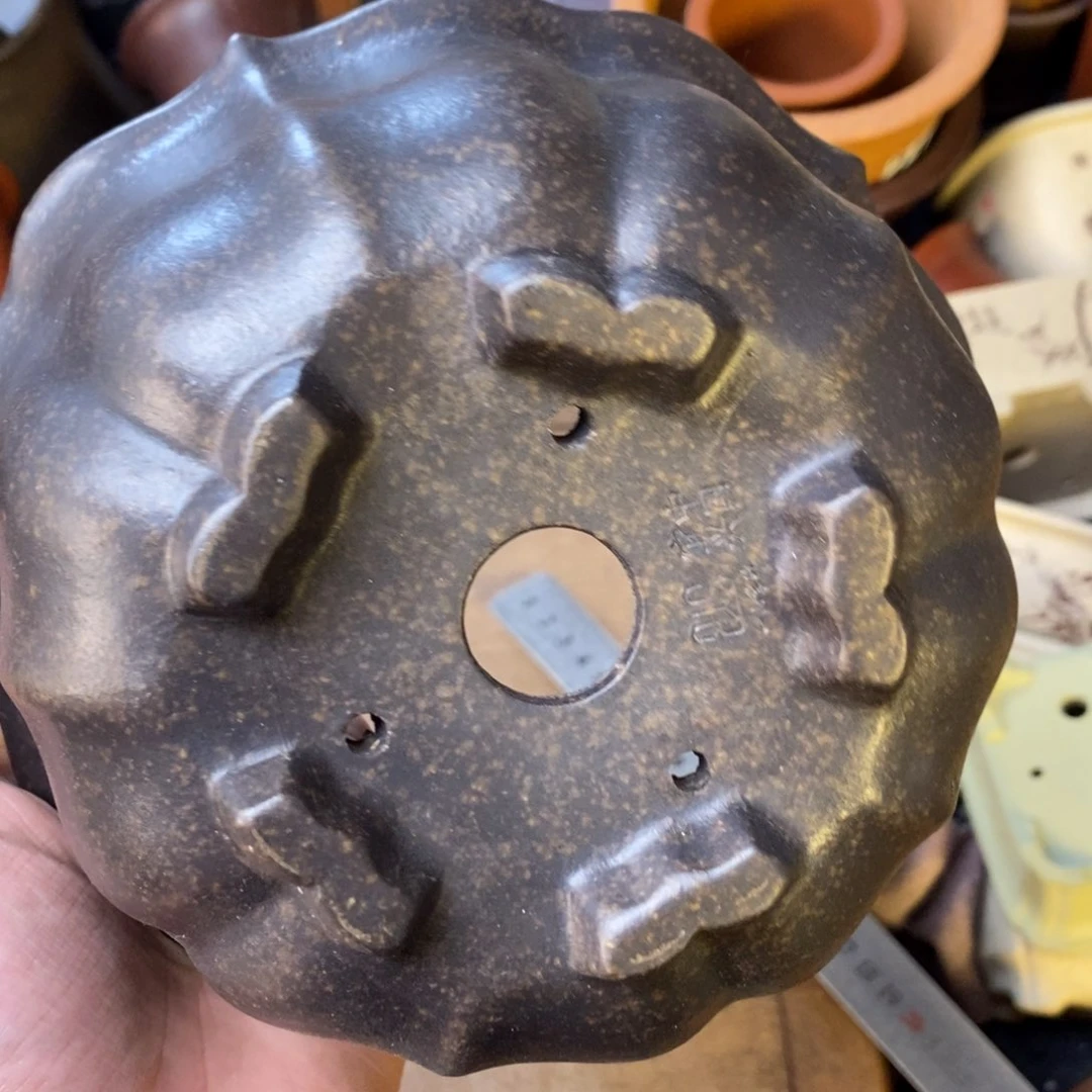 15+7vvvvvvvvvvvvvvvv