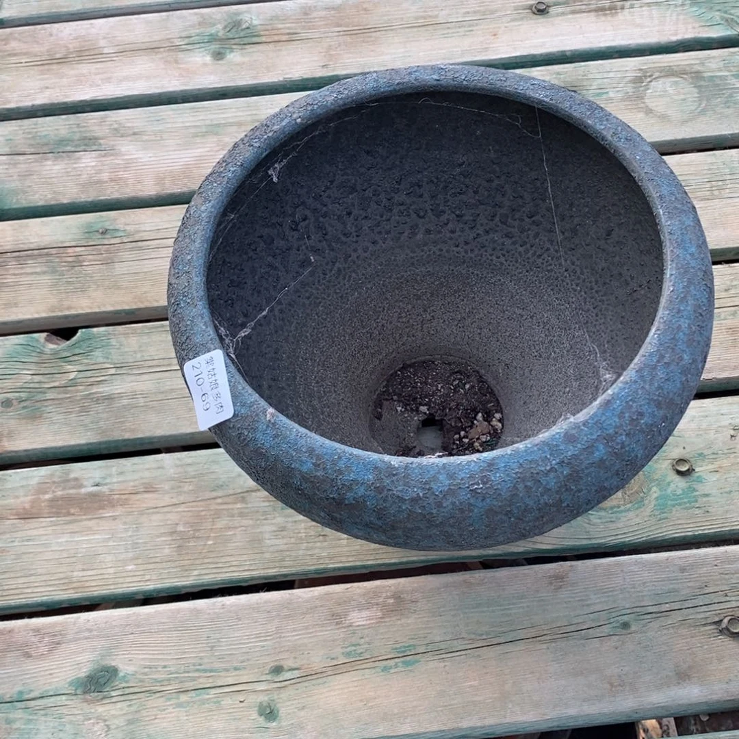 心**飞69号多肉盆一个呀