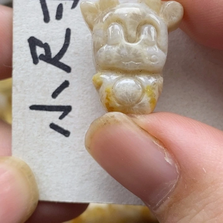 硅化珊瑚（珊瑚玉）未镶嵌颈饰