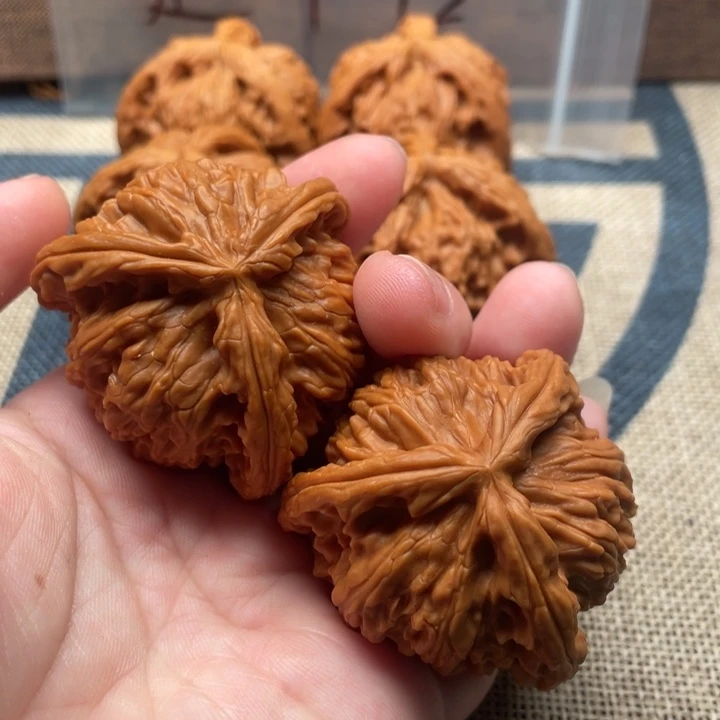 陈***л核桃白狮子43核桃