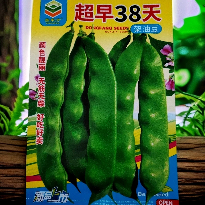 超早熟38天油豆角籽50克左右