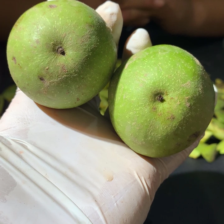 文玩核桃吊坠青皮特殊定制商品不退不换