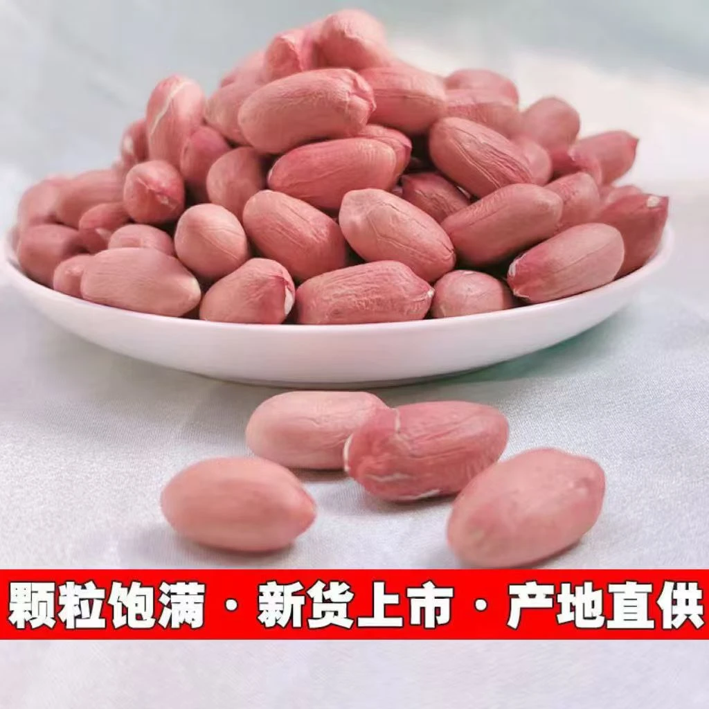 2025年无壳精选大粒花生米