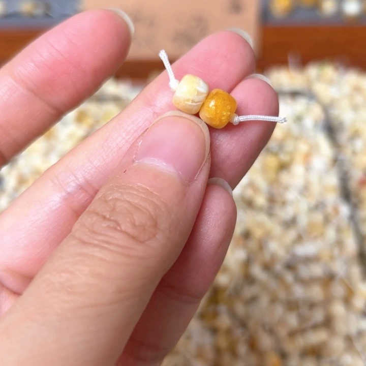 蜜蜡未镶嵌裸石6.9mm一对