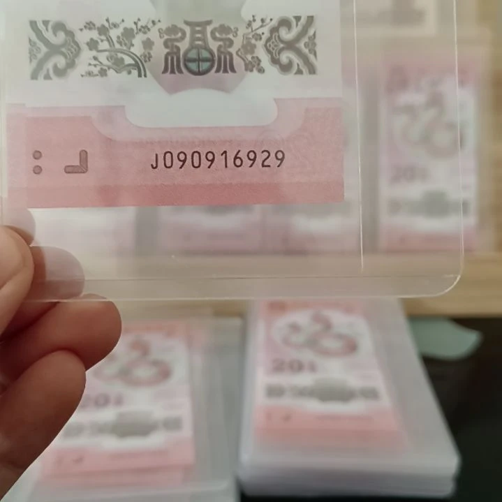 蛇钞朦胧号裸票绝品090916929