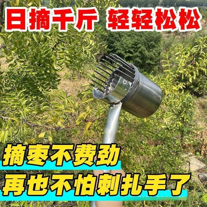 新款酸枣不生锈摘果器采果山枣柏树神器小枣工具扎手采摘神器五金