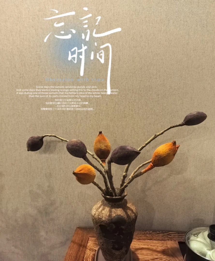 稀有小众木荷果鲜切花材可做干花可DIY喷色