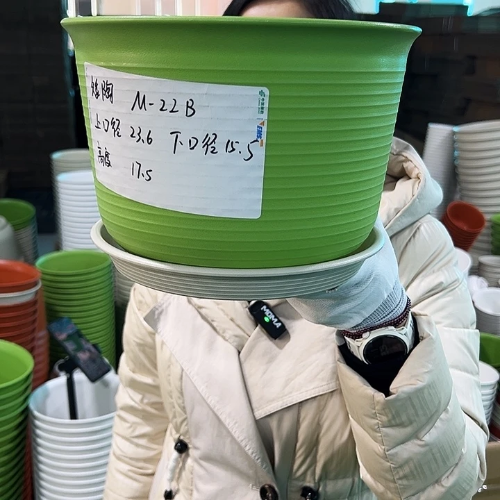 正品矮陶口23.6高17果绿带托6个