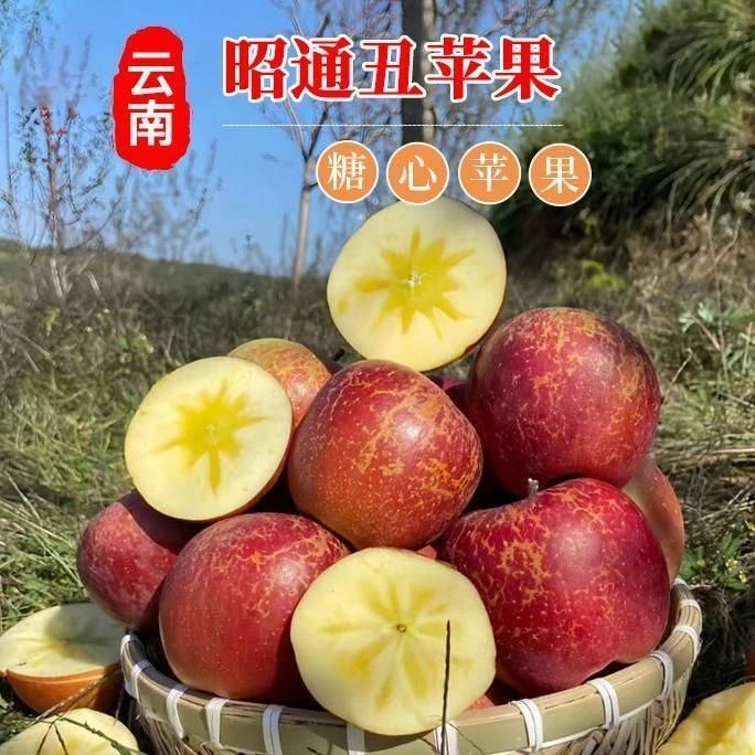 2025云南昭通苹果高山种植红富士丑苹果产地直发整箱包邮