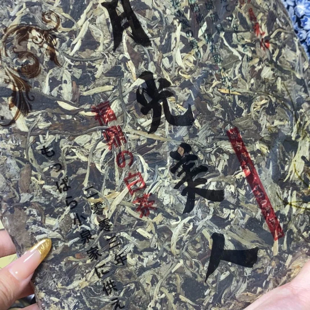 紫砂哈哈哈哈哈哈哈哈