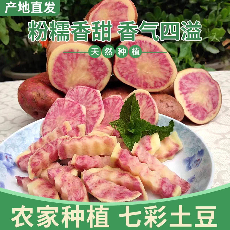 云南七彩土豆花心土豆花心洋芋红心土豆七彩洋芋马铃薯农家肥种植
