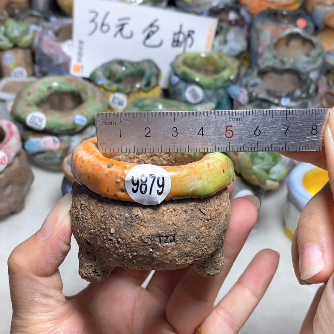 拍3送一个小礼物