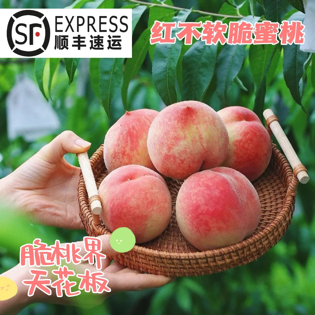 【红不软脆桃】脆甜多汁蜜桃孕妈推荐水果当天现摘新鲜桃子时令水果
