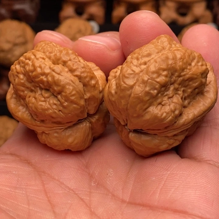 把件文玩核桃5山羊龙脊