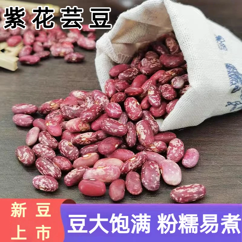 正宗东北紫花芸豆大芸豆农家种植新豆颗粒饱满花芸豆四季豆酸菜豆