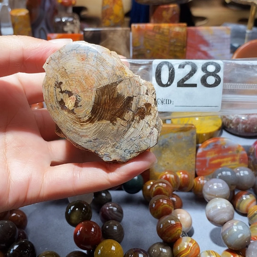 硅化玉天然北票硅化玉原石未镶嵌