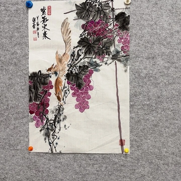 国画花鸟等多种鸟类和鸟类