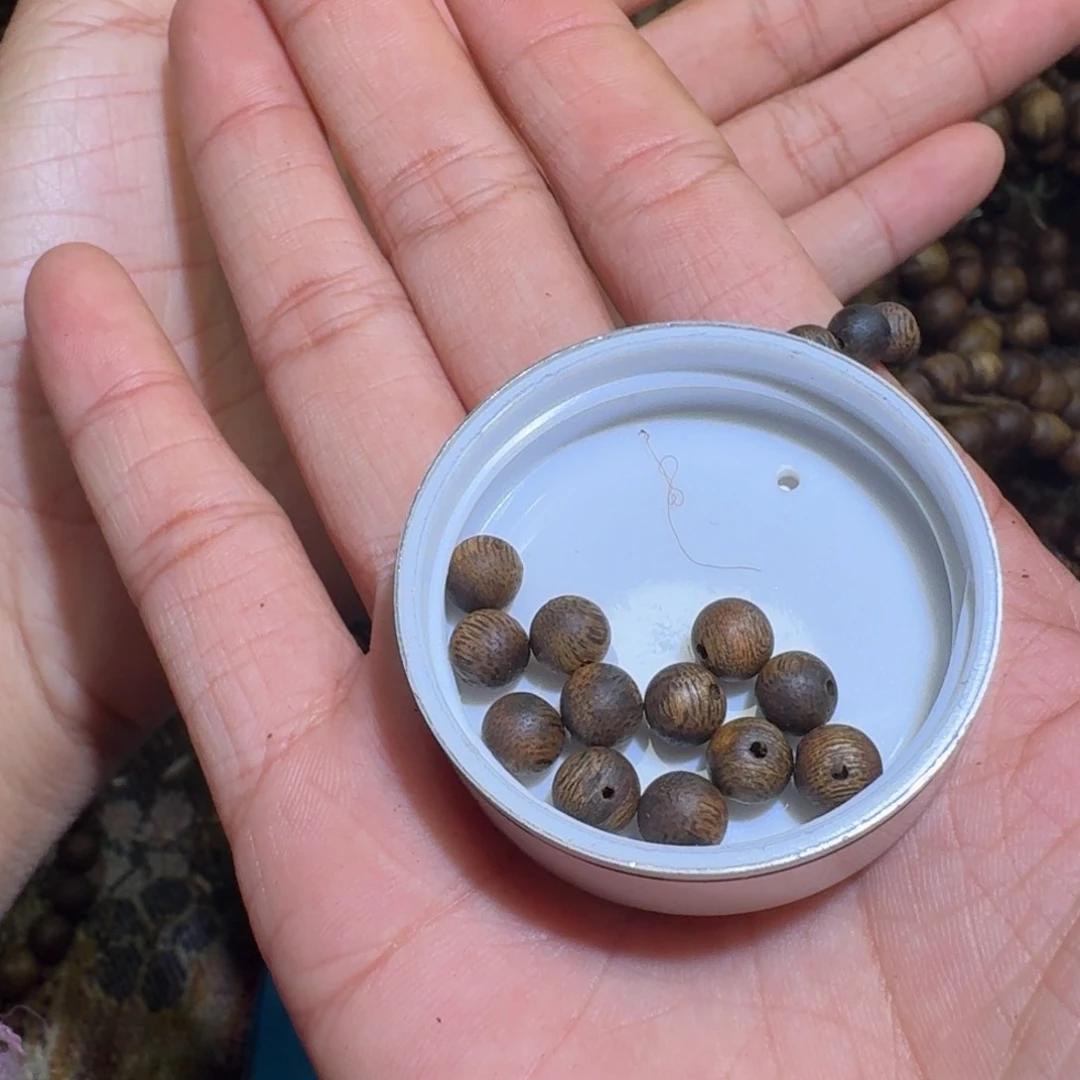 沉香沉香枕棒****徐海南乌身老料0.61.4克