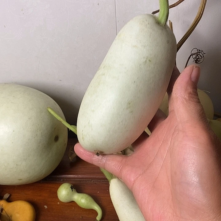 1***？青皮腰子葫芦手把件