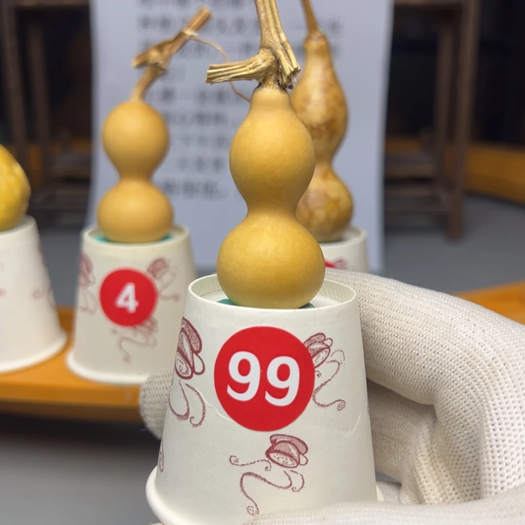 闪电购自助下单编号99