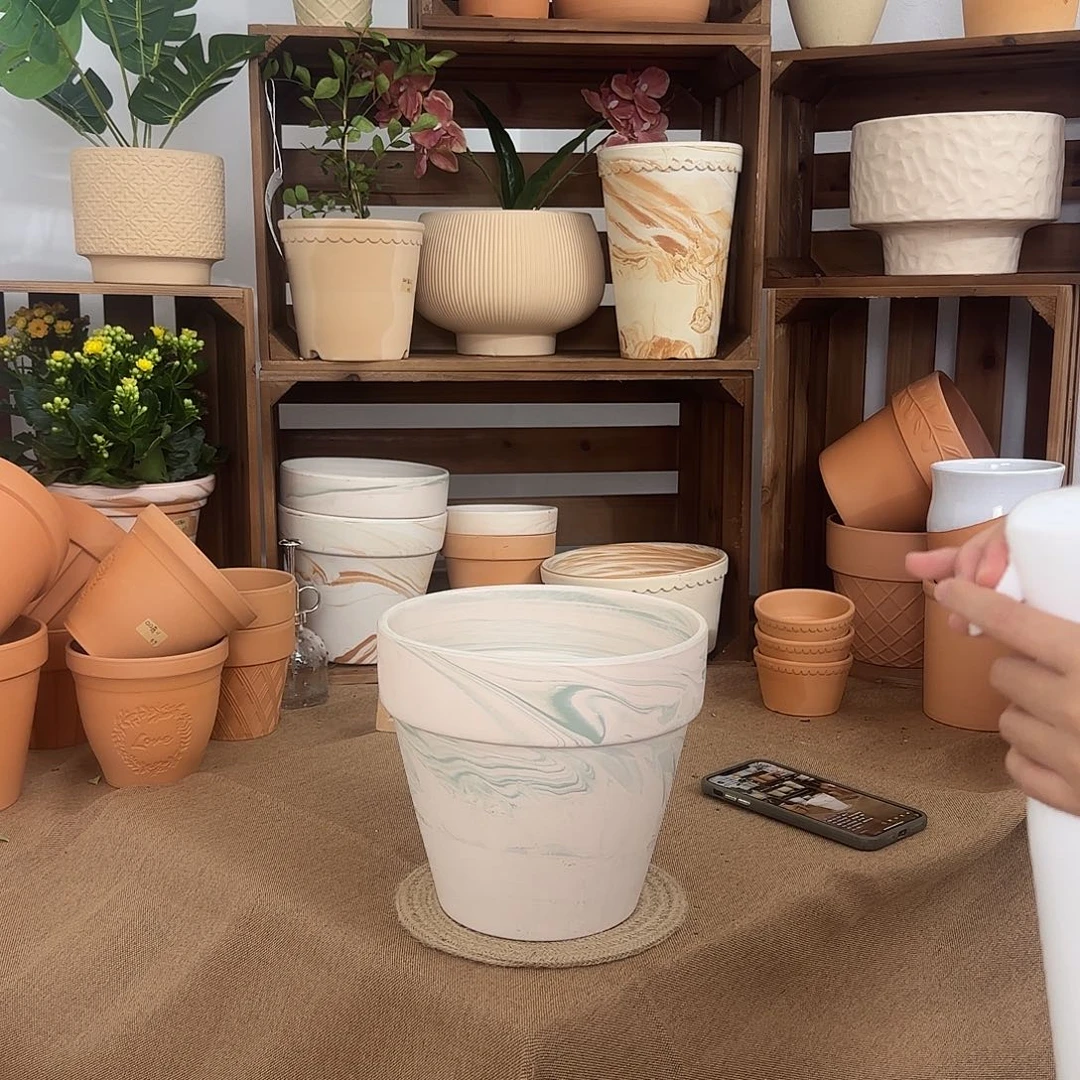 微瑕绿野仙踪标准国际盆20口18高1个