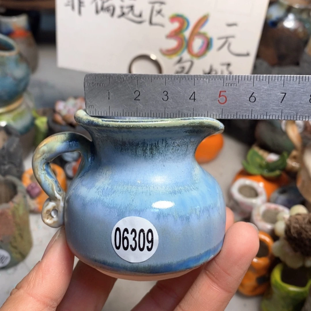 拍5送一个小礼物花盆