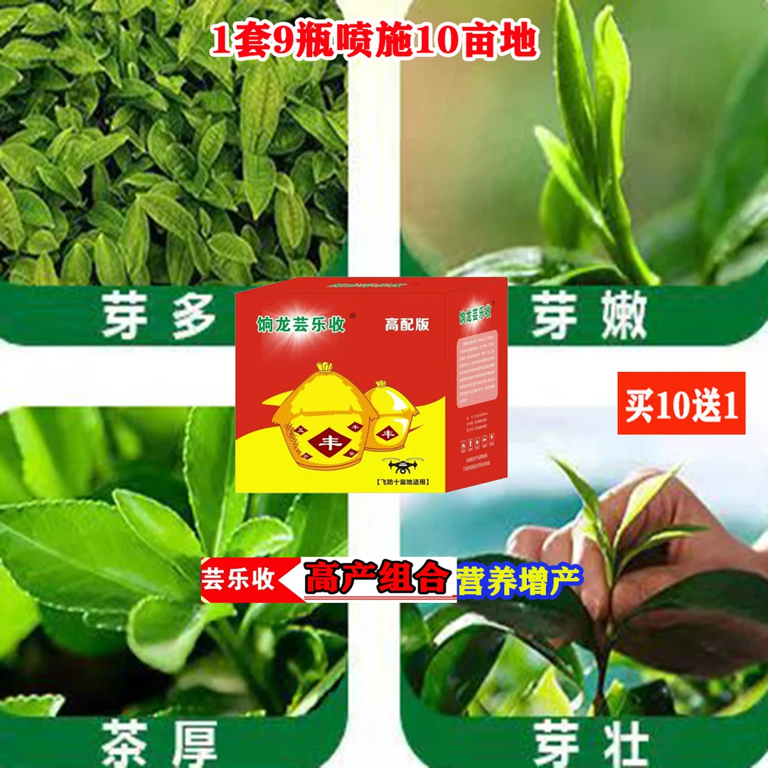 茶叶茶树芸乐收高产组合一喷三防9瓶10亩发芽快缕圆叶面肥老牌子