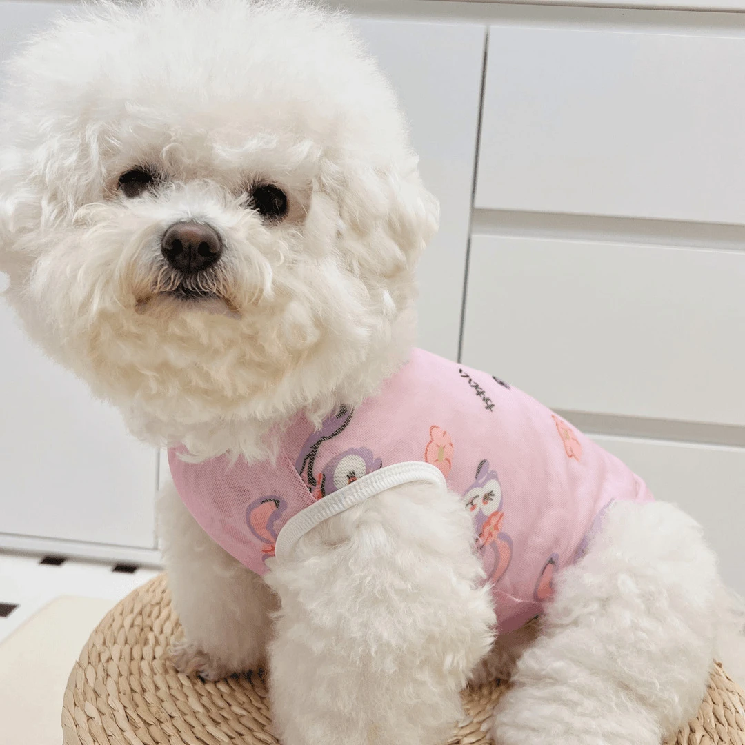 宠物狗狗猫咪夏季薄款防晒防掉毛背心衣服柯基比熊博美小中大型犬